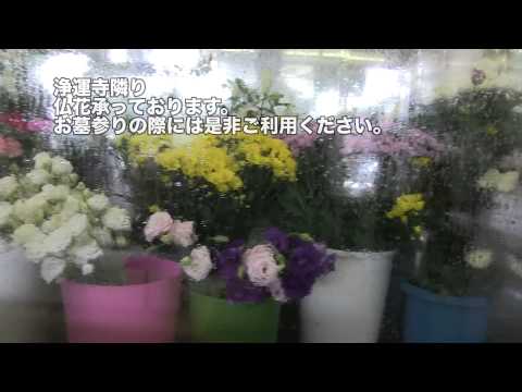 タキイ生花店