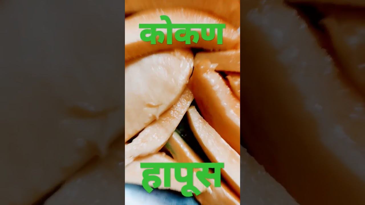 कोकण हापूस | kokan hapus mango | alphonso mango