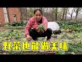 小慧帶金毛去地裡挖野菜，沒想到突降大雨，狗狗接下來的舉動讓人暖心【我是趙姐】