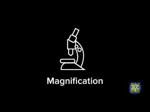 Video: How To Determine The Magnification Of A Microscope