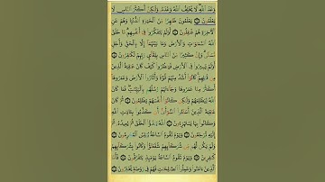 الصفحة الثانية من سورة الروم مكررة للحفظ