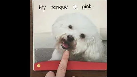 Rosie Likes Pink     By Michelle Dufresne