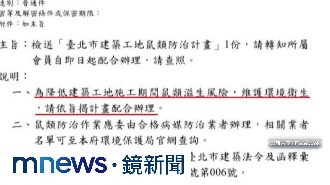蓋房子也要抓老鼠？　馬郁雯爆「建管處要求工地自主抓鼠」｜#鏡新聞