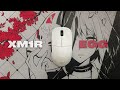 Endgame Gear XM1r. Легендарная мышь и форма