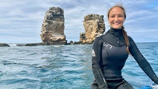 Traveling Solo to a Galápagos Dive Liveaboard