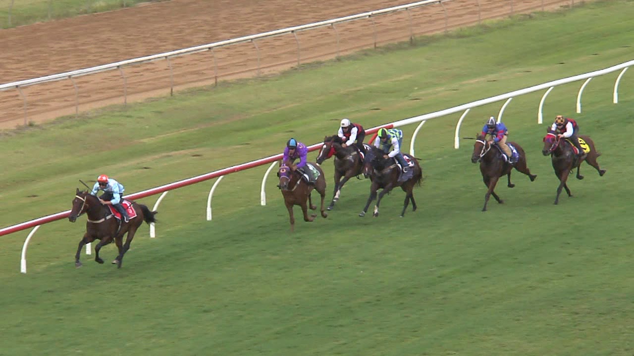 Rockhampton Barrier Trials March 8, 2019, Heat 2 (900m) - YouTube