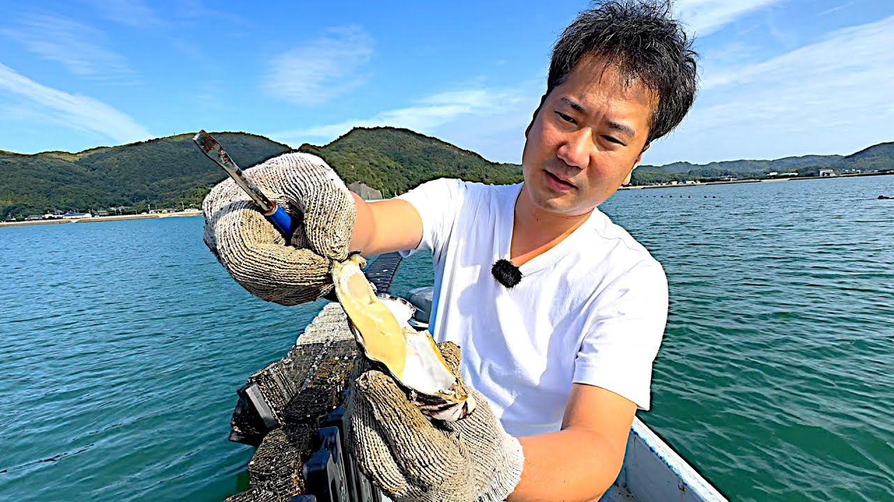 牡蠣養殖は難しいです....