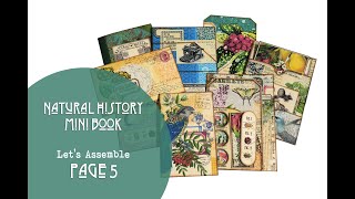 Natural History Mini Book - Assembling Page 5