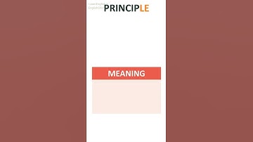 Principal vs Principle | confusing english words