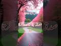 Hadith Of Prophet Muhammad ﷺ 💖💖| Hadees Nabvi | Hadees Mubarak | Hadees Sharif | Best Hadees #shorts