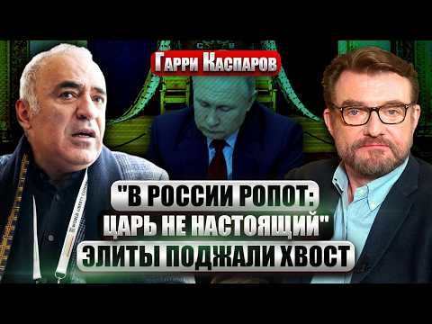 YouTube видео
