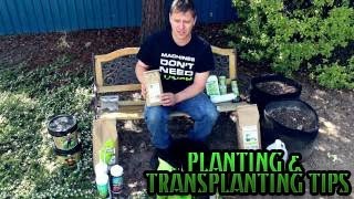 Planting & Transplanting Tips | Best way to plant your Garden | Plant Plants in Pots Planters Soil