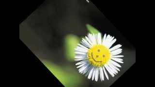 Il Valore Di Un Sorriso Di P Faber