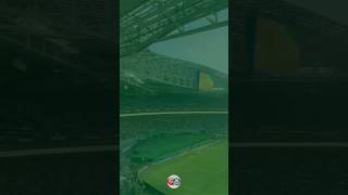 Música Olê Porco Torcida Que Canta E Vibra E Não Para De Incentivar O Verdão