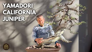 Working on my 700 Year Old Yamadori CA Juniper by Bonsai Heirloom 7,484 views 1 month ago 25 minutes