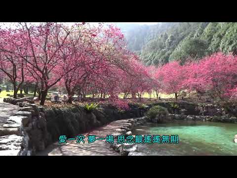 戀人心MV(九族櫻花版)