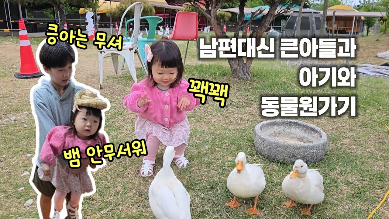 Вместо мужа я пошла в зоопарк со старшим сыном и малышом! (Зоопарк «Птицы и птицы», обязательное ...