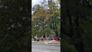 Воронихинский сквер Фонтан Посейдон Казанский собор #мойгород Октябрь