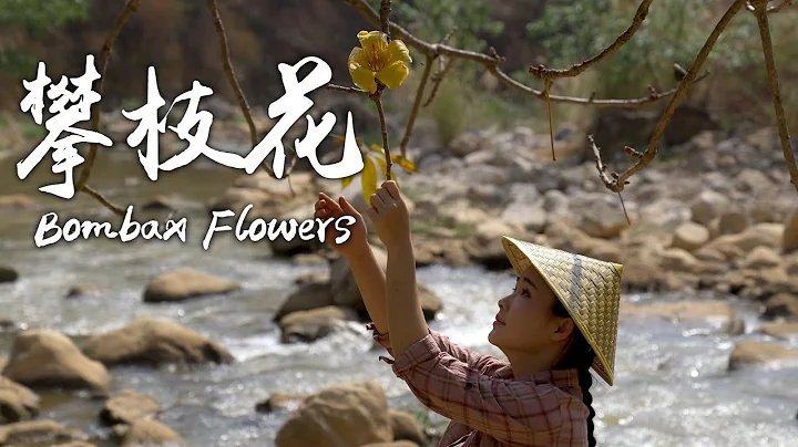 多姿又美味的五彩攀枝花【滇西小哥】 - 天天要闻