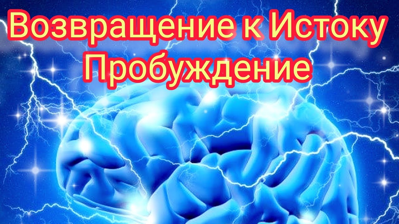 Альфа- ритм нашего мозга. Приглашаем на наш марафон. Ссылка под видео.