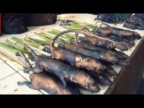 8 Makanan Khas Indonesia Paling Aneh Dan Ekstrim, Berani Mencobanya