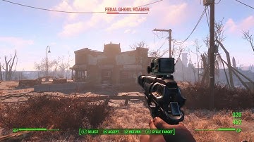 Ghoul Problem - Fallout 4