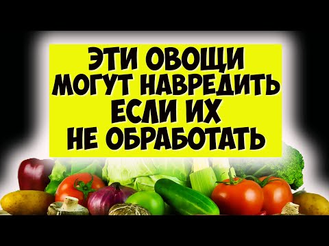 ЭТИ ОВОЩИ БУДУТ ПОЛЕЗНЕЕ, ЕСЛИ ИХ ПРАВИЛЬНО ПРИГОТОВИТЬ. 7 овощей которые в сыром виде лучше не есть