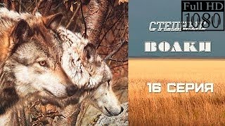 Степные Волки . 16 серия .Криминальная Драма -Нити-судьбы-?^ -Революція-Гідності-? Степные Волки . 16 серия .Криминальная Драма -Нити-судьбы-?^ -Революція-Гідності-?