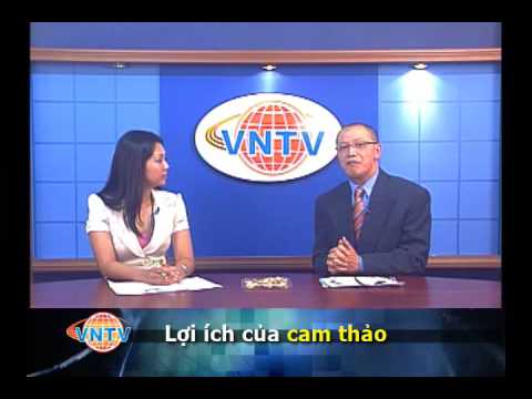 Video: Cam Thảo - đặc Tính Và Công Dụng Có Lợi