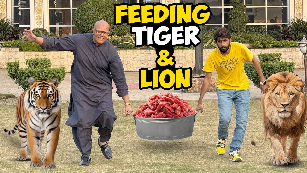 Feeding Speed Challenge 🦁🔥 | Fastest Feeder Kaun? | Ejaz Ki Cheating Exposed! | BT Farm Stories