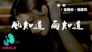 夏婉安 / 柒肆玖 - 風知道 雨知道『只有風知道我的淚多孤單，只有雨知道我心多不甘。』【動態歌詞 | Pinyin Lyrics】【AWALK MUSIC】