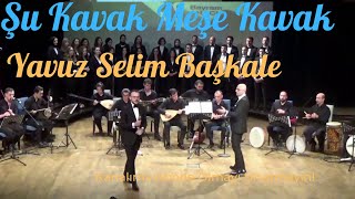 Şu Kavak Meşe Kavak - Yavuz Selim Başkale