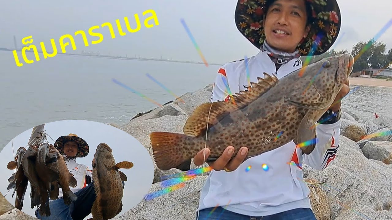 เก๋า3โลมาได้ไง#ตกปลาเก๋า PMY