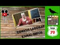 Nachtrag zur Videoleuchte und der Rabe von Danzig | WAM 79