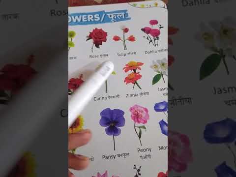 Video: Bluebell Flowers - Informacion mbi Rritjen për Bluebells anglisht dhe spanjisht