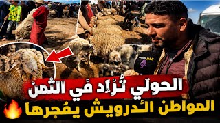 🔥جينا لسوق الحولي اليوم . المواطن مصدوم من الاثمنة . 2000 درهم مابقاتش تشري الخروف