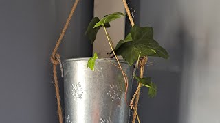 5 Easy DIY Plant Hangers Using Thrifted & Upcycled Materials | Cozy Country Home Decor