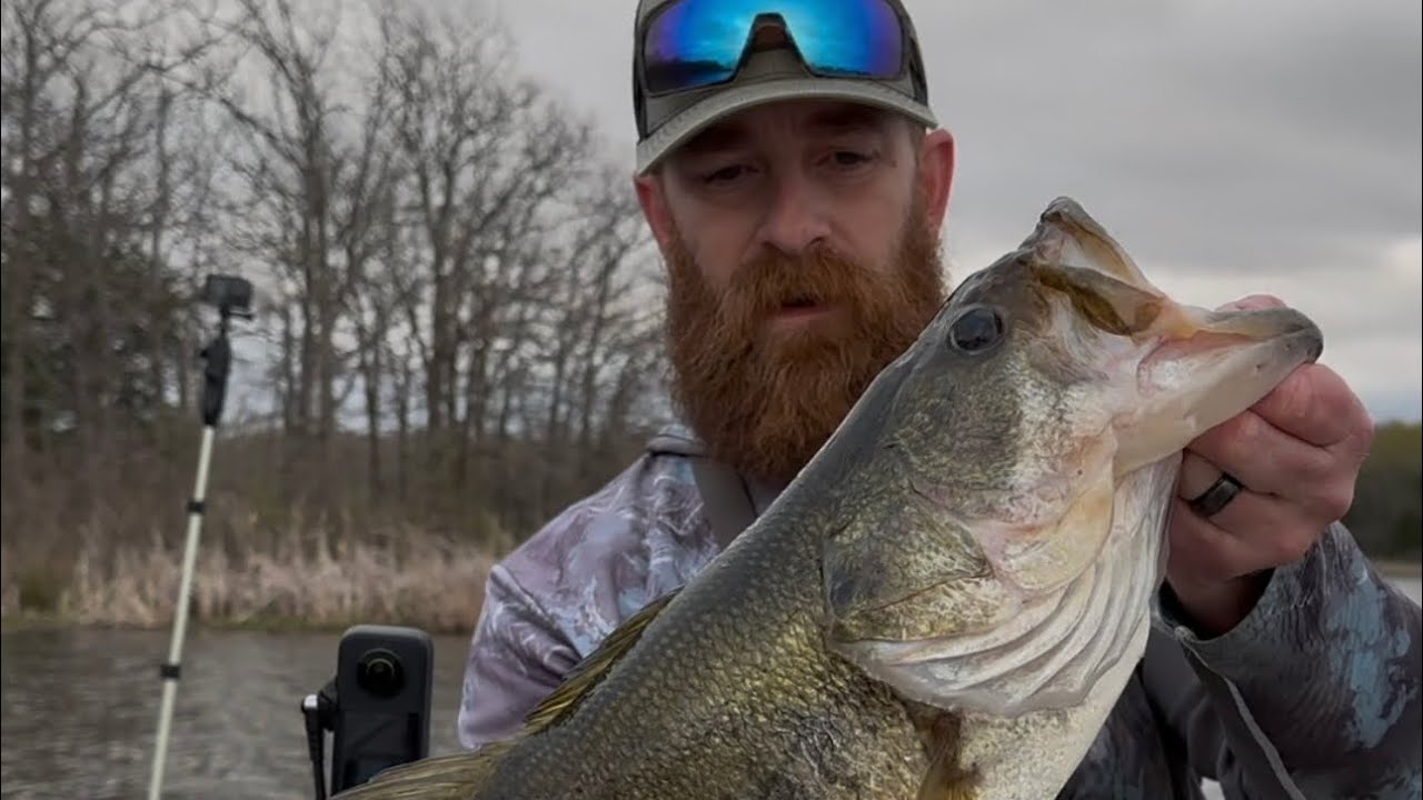 Catching BIG Bass SHALLOW #spawn 👀  I AM BACK #trashfishing #bassfishing