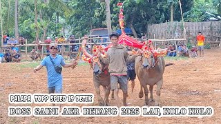 Palapa Topp Spied 19 Detik 2026 Jejel Lap. Gemilang Pucuk Indah