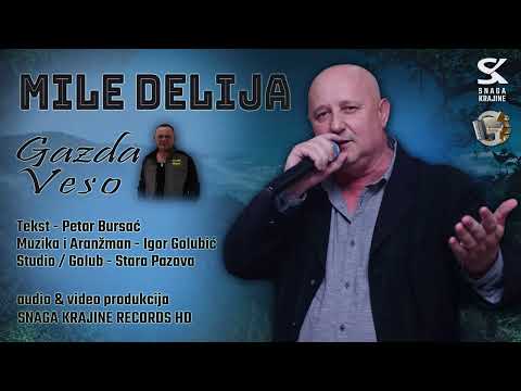 Mile Delija - Gazda Veso - Official Audio 2021
