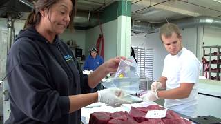 Bubba's Stiff and Flex Fillet Knives | Pros in Action
