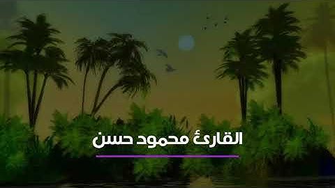القارئ الشيخ محمود حسن