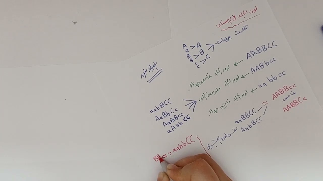 الصفات الوراثية (الجينات المتعددة)