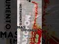 Saxofon alto Eb temor Bb Learning jazz aprendiendo jazz EDEMEE
