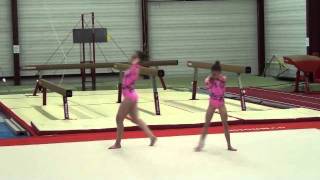 Wildgymbuizingen07-01-12Delphine-Stien