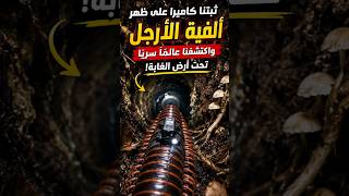ما كشفته ألفية الأرجل تحت الأرض أذهل الجميع! #wildlife