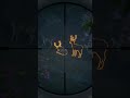 Dad's first Barasingha hunt! #thehuntercotw #thehunter #cotw #hunting #gaming #shorts #gameplay