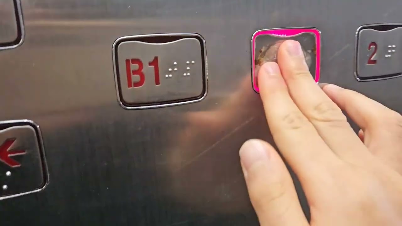 강원도 춘천시 석사동 청인빌딩 LG 오티스 엘리베이터 탑사기