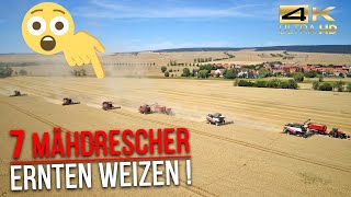 Agrar-GmbH Oldisleben: Konventioneller- und Bio-Ackerbau auf 3700 Hektar (Getreideernte / Teil 3)