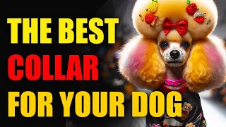 THE BEST COLLAR FOR YOUR DOG